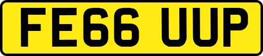 FE66UUP
