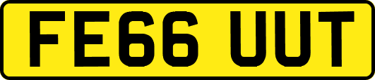 FE66UUT