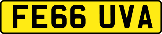 FE66UVA