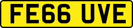 FE66UVE