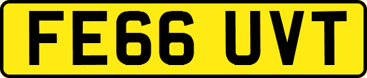 FE66UVT