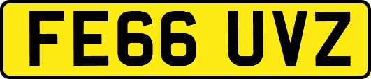 FE66UVZ