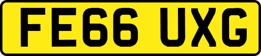 FE66UXG