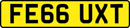 FE66UXT