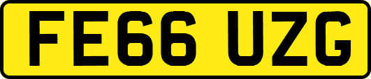 FE66UZG