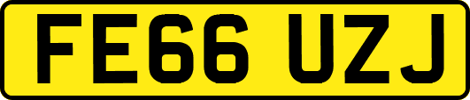 FE66UZJ