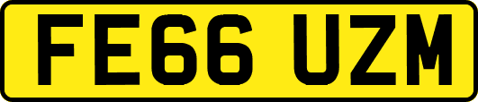 FE66UZM