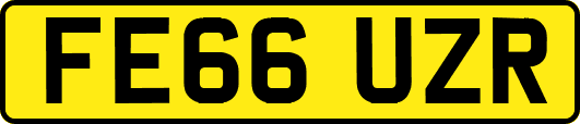 FE66UZR