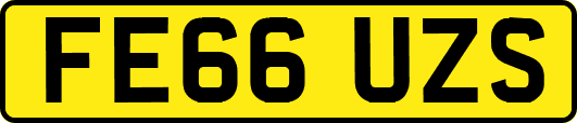 FE66UZS