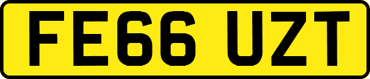 FE66UZT