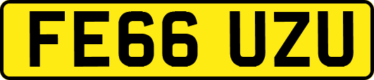FE66UZU