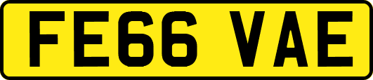 FE66VAE