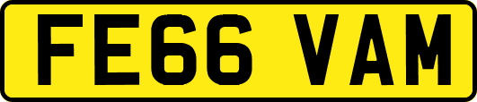 FE66VAM