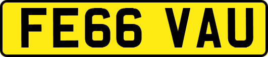 FE66VAU