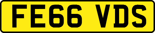 FE66VDS