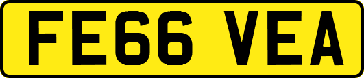 FE66VEA