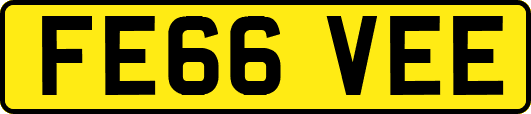 FE66VEE