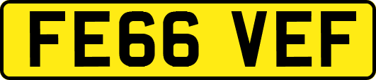 FE66VEF