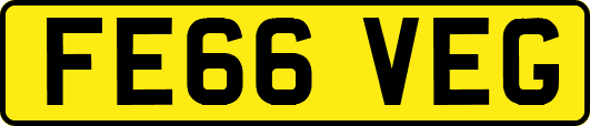 FE66VEG