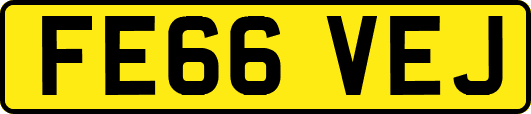 FE66VEJ