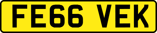 FE66VEK
