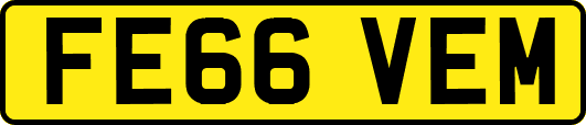 FE66VEM