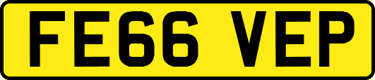FE66VEP