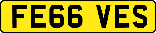 FE66VES