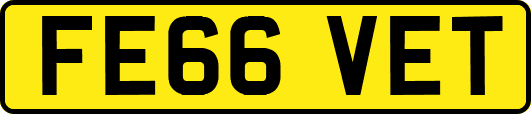 FE66VET