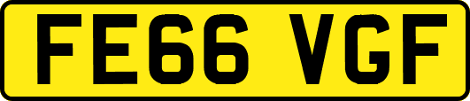 FE66VGF