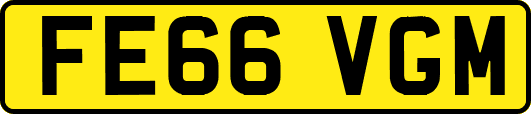 FE66VGM