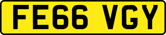 FE66VGY