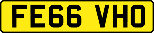 FE66VHO