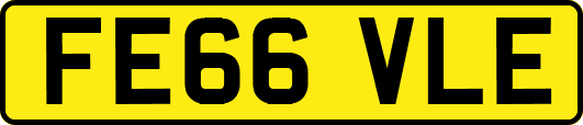 FE66VLE