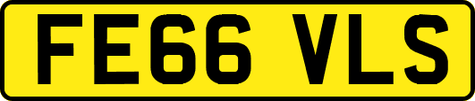 FE66VLS