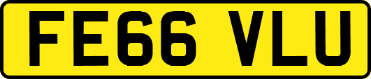 FE66VLU