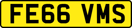 FE66VMS