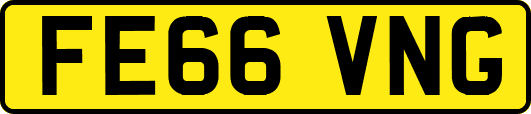 FE66VNG