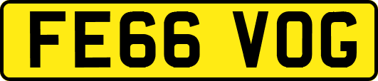FE66VOG