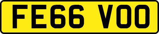 FE66VOO