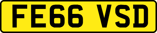 FE66VSD