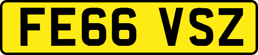 FE66VSZ