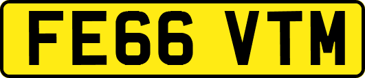 FE66VTM