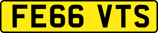 FE66VTS