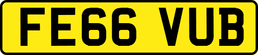 FE66VUB