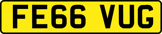 FE66VUG