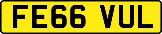FE66VUL