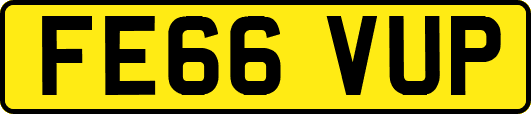 FE66VUP
