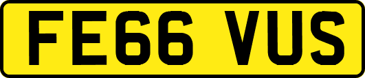FE66VUS