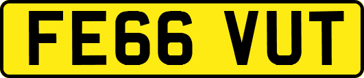 FE66VUT